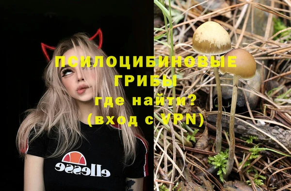2c-b Алексин